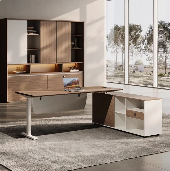 Modern Simple Office CEO Boss  - Office Furniture Logo 리뷰 및 가격
